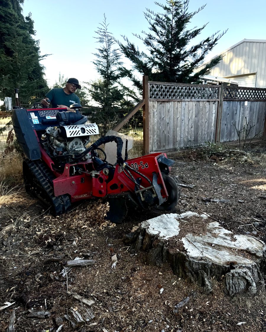 The stump grinder working a stump beside a fence
